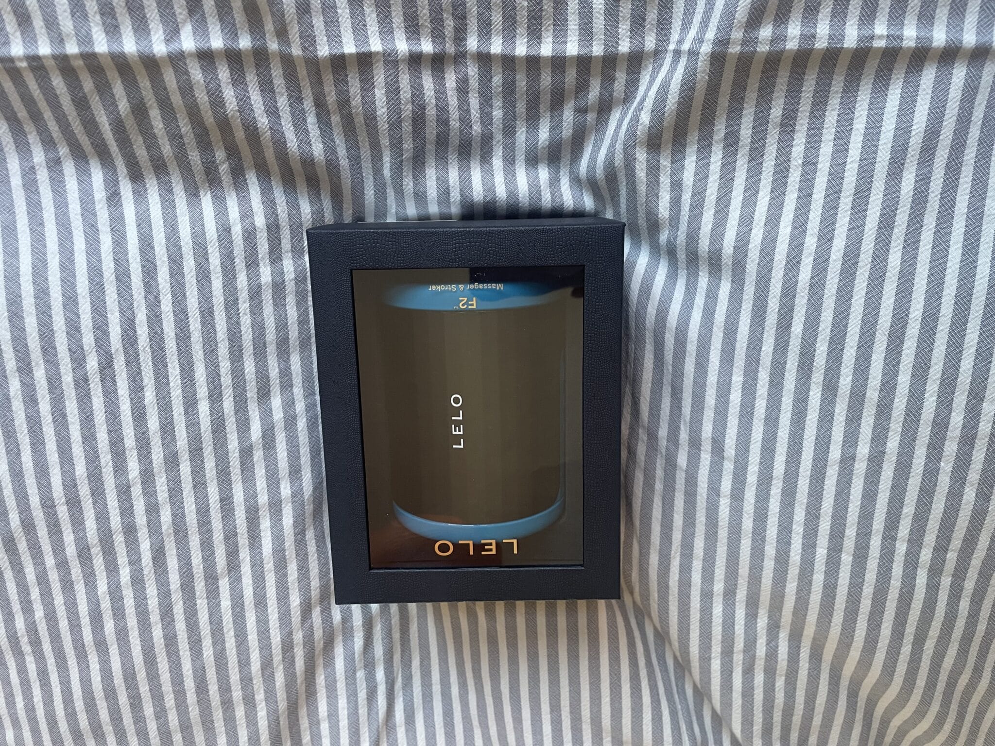 Lelo F2S Packaging